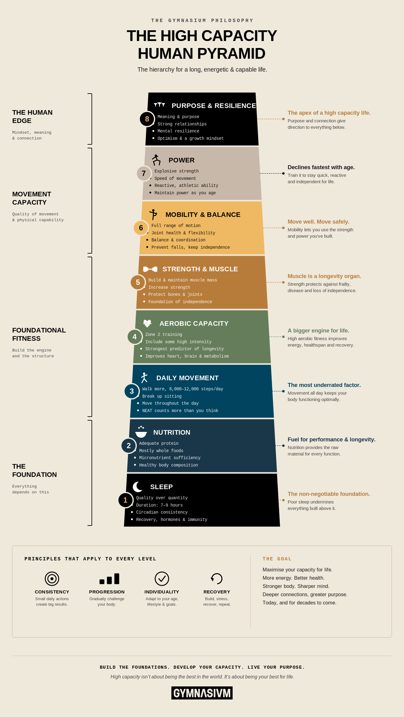 The High Capacity Human Pyramid — an 8-level hierarchy from sleep and nutrition at the base up to purpose and resilience at the apex